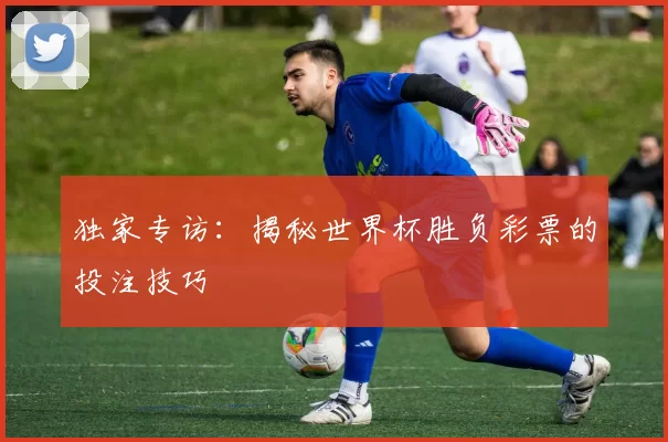 独家专访：揭秘世界杯胜负彩票的投注技巧