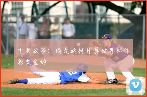 中奖故事:我是这样计算世界杯体彩奖金的