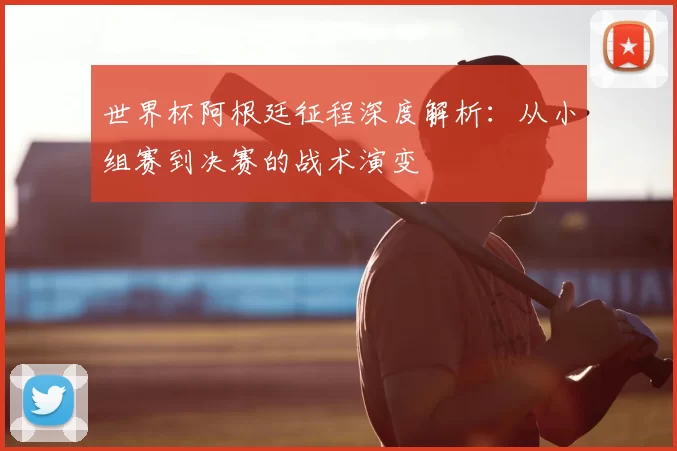 世界杯阿根廷征程深度解析：从小组赛到决赛的战术演变