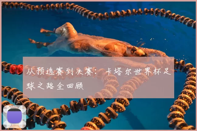 从预选赛到决赛：卡塔尔世界杯足球之路全回顾