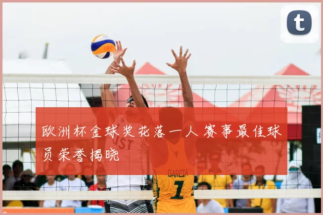 欧洲杯金球奖花落一人 赛事最佳球员荣誉揭晓