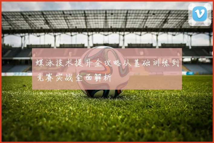 蝶泳技术提升全攻略从基础训练到竞赛实战全面解析