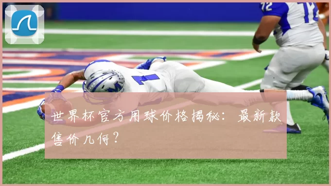 世界杯官方用球价格揭秘:最新款售价几何?
