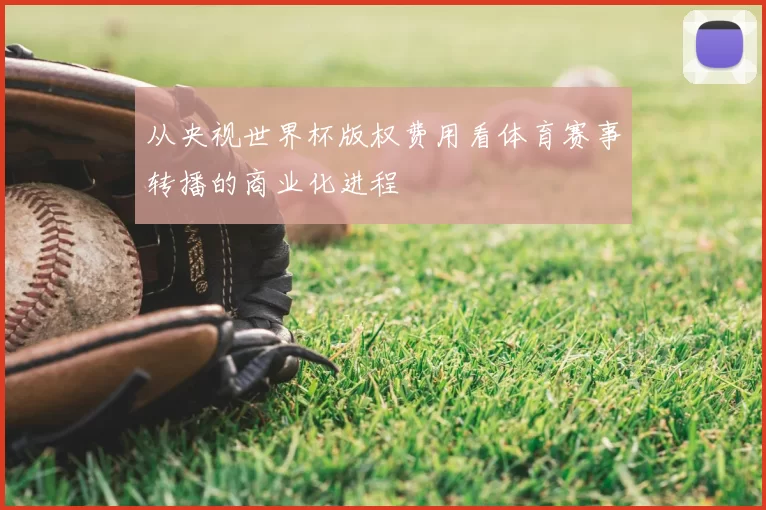 从央视世界杯版权费用看体育赛事转播的商业化进程