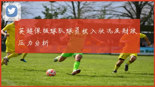 英超保级球队球员收入状况及财政压力分析