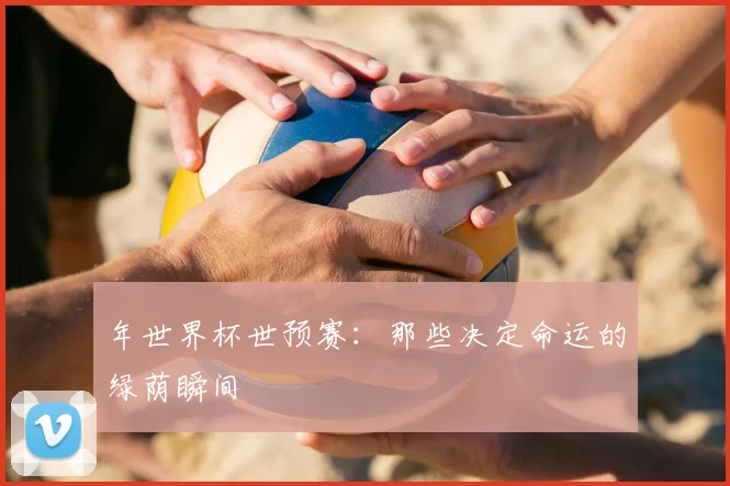 年世界杯世预赛：那些决定命运的绿荫瞬间