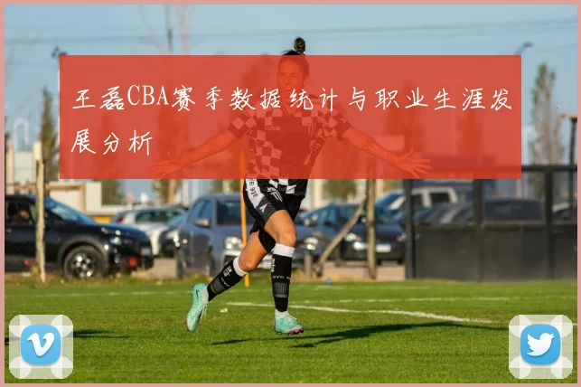 王磊CBA赛季数据统计与职业生涯发展分析