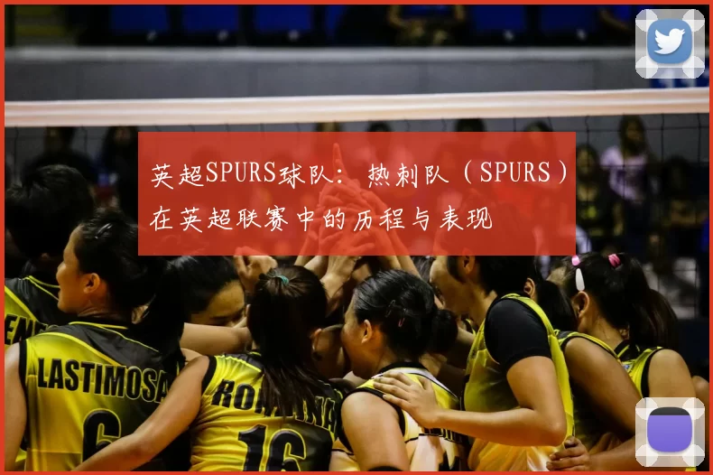 英超SPURS球队：热刺队（SPURS）在英超联赛中的历程与表现