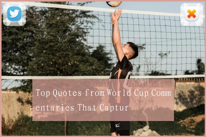 Top Quotes from World Cup Commentaries That Captur