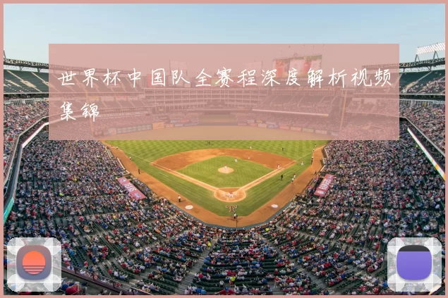 世界杯中国队全赛程深度解析视频集锦