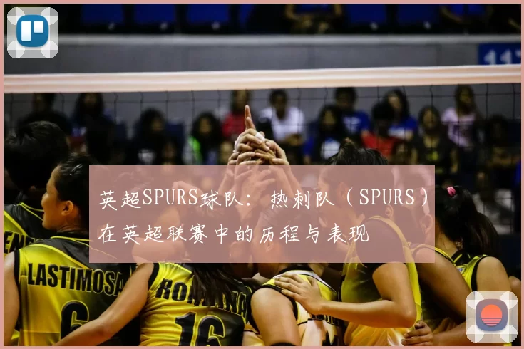 英超SPURS球队：热刺队（SPURS）在英超联赛中的历程与表现