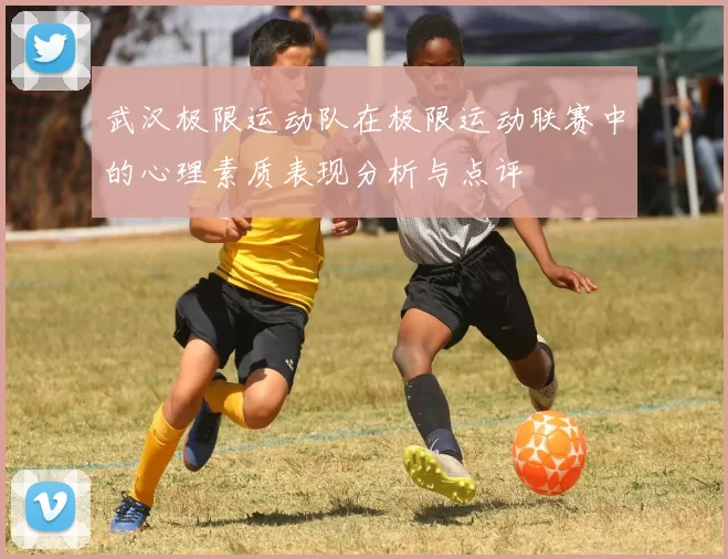 武汉极限运动队在极限运动联赛中的心理素质表现分析与点评