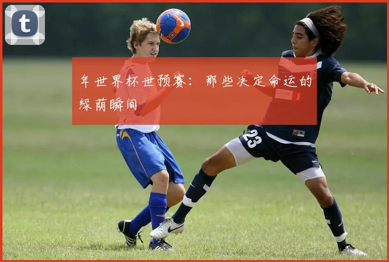 年世界杯世预赛：那些决定命运的绿荫瞬间