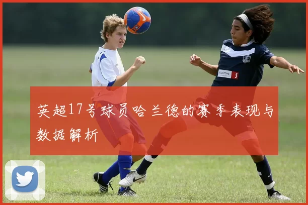 英超17号球员哈兰德的赛季表现与数据解析