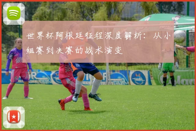 世界杯阿根廷征程深度解析:从小组赛到决赛的战术演变